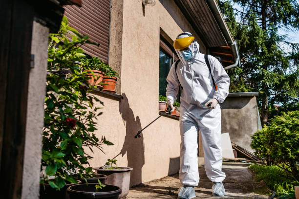 Best Best Pest Control Companies  in Tuckerman, AR