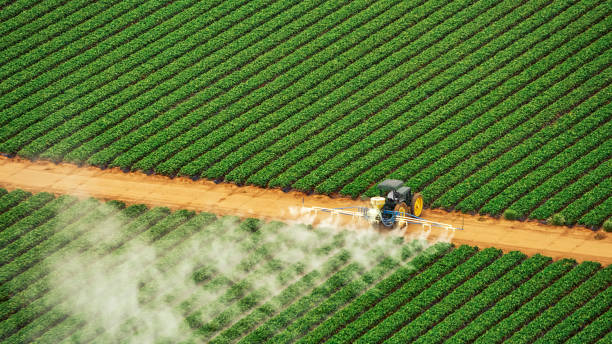 Best Best Pest Control Companies  in Tuckerman, AR