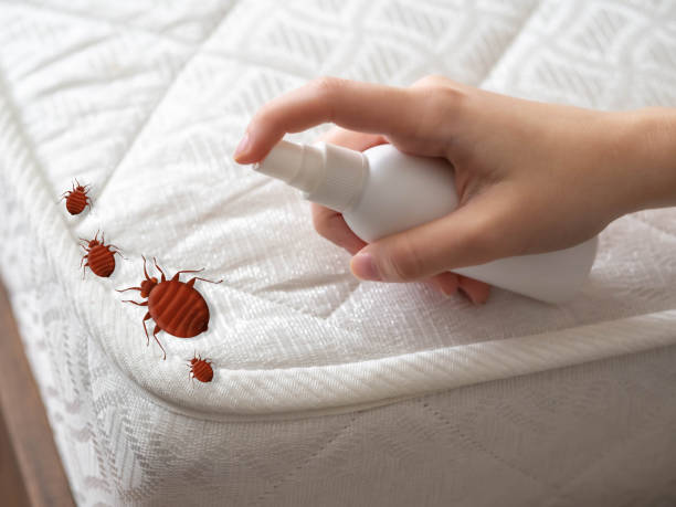 Best Commercial Pest Control Services  in Tuckerman, AR