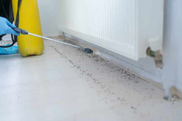 Best Pest Control Treatment  in Tuckerman, AR