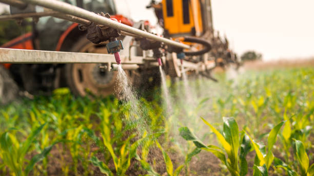 Best Pest Removal Services  in Tuckerman, AR