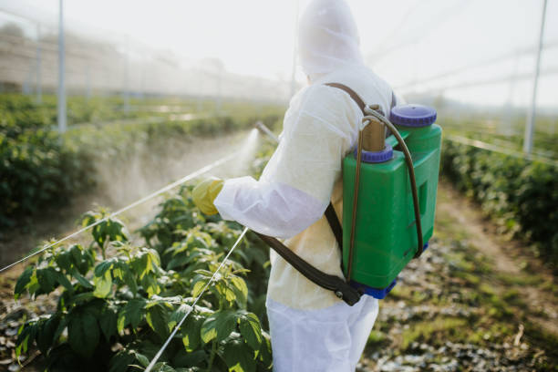 Best Affordable Pest Control Services  in Tuckerman, AR